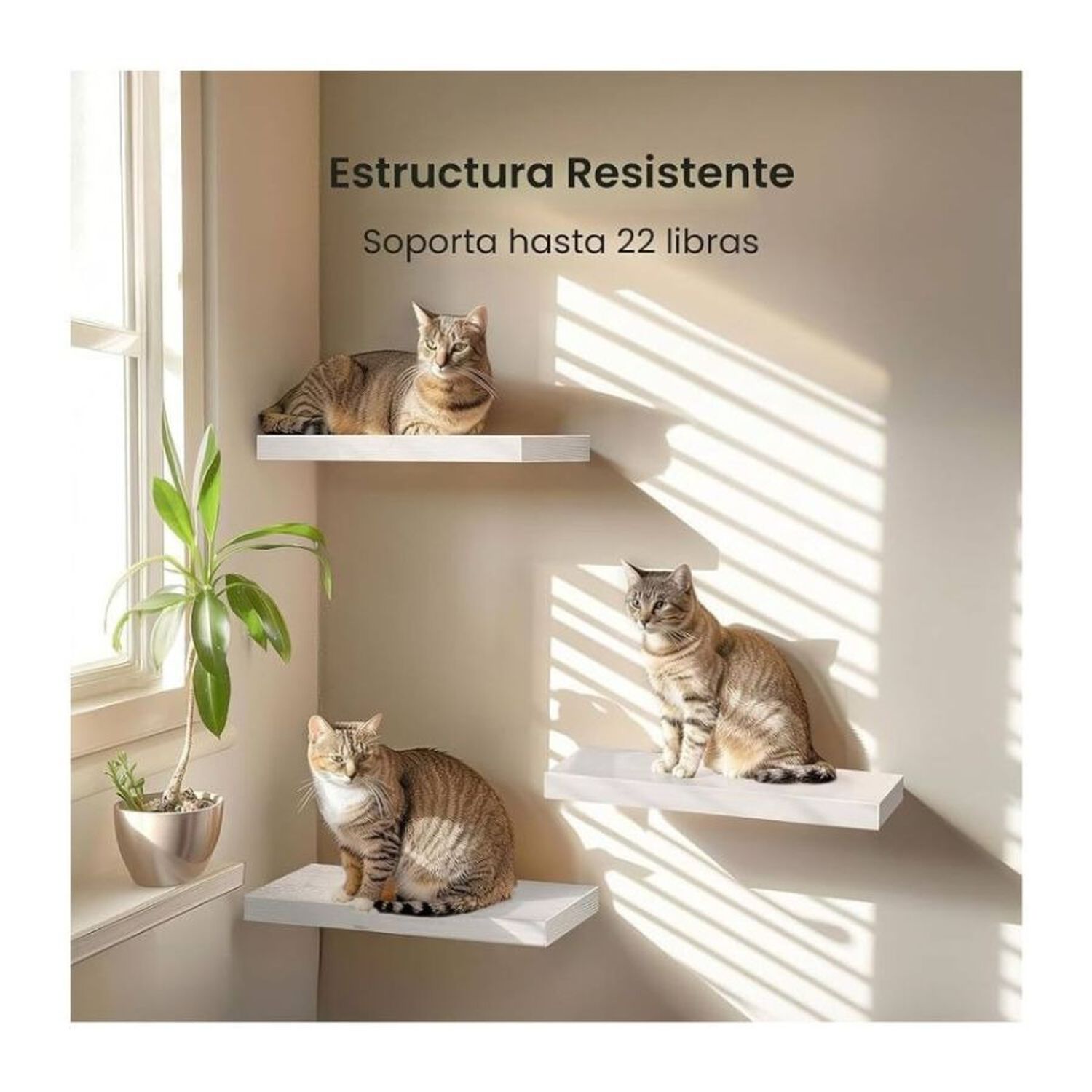 Repisa Flotante Minimalista Madera Blanca Organizador 60cm image number 5.0