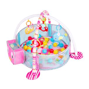 Gimnasio Corral Pelotas Zoo Pink