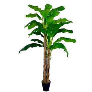 Planta Artificial Banano Premium 230 Cm. / 26 Hojas / Arbusto Real