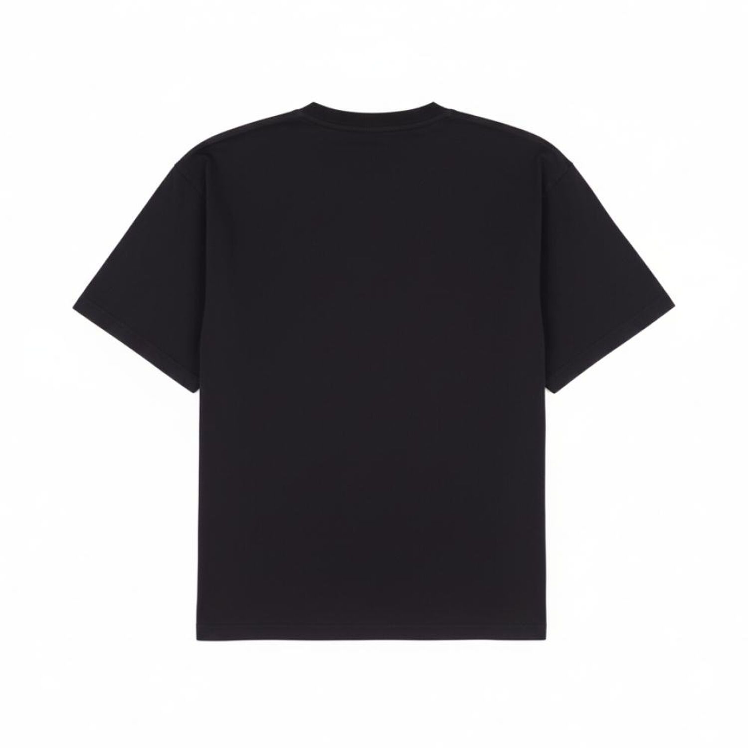 Polera Hombre Rolly Go image number 1.0