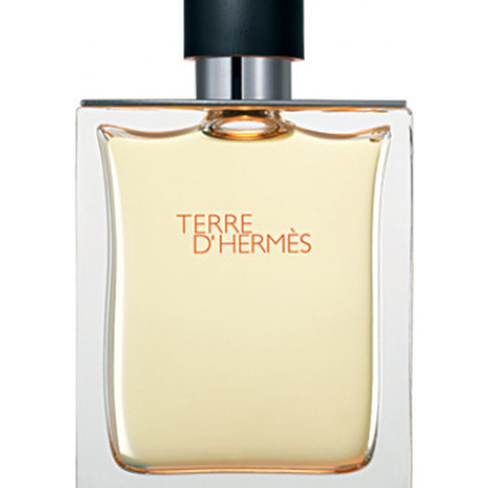 Terre De Hermes Men Edt 100ml image number 0.0