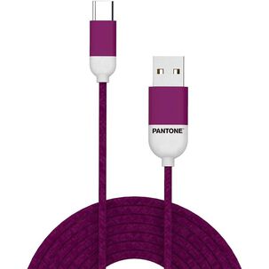 Cable De Datos Type-c Reforzado 1m Pantone Android Auto Mora