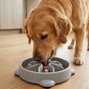 Plato De Alimentaci&oacute;n Lenta Para Perro Hey!