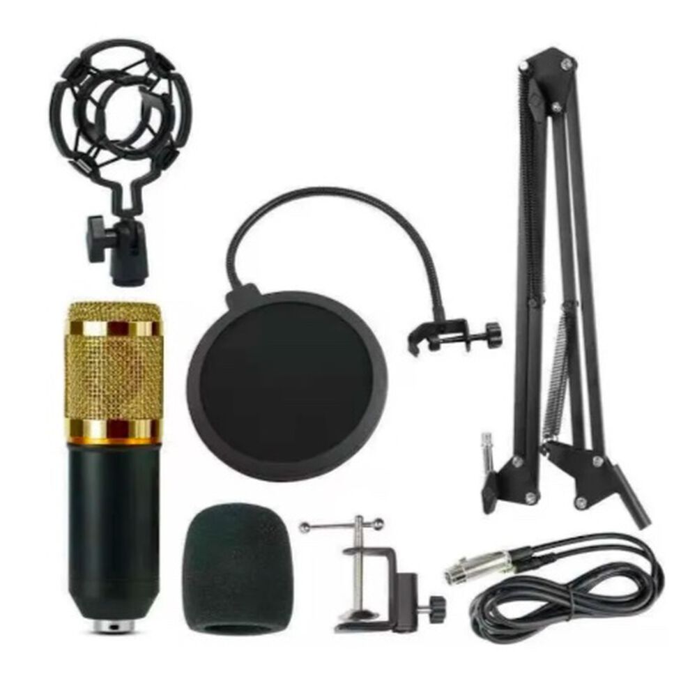 Micr&oacute;fono Estudio Condensador Profesional + Brazo image number 0.0