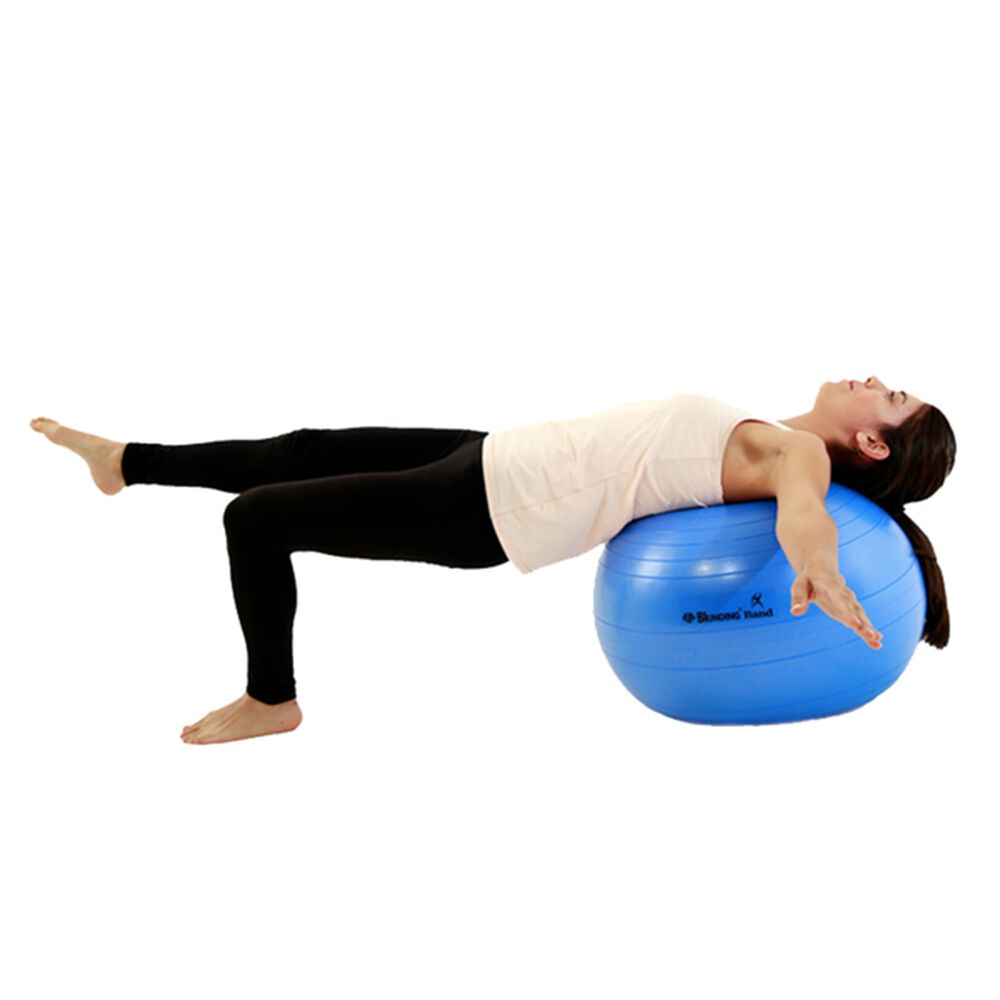 Balon De Ejercicio Con Bombin 55 Cm-blunding image number 1.0