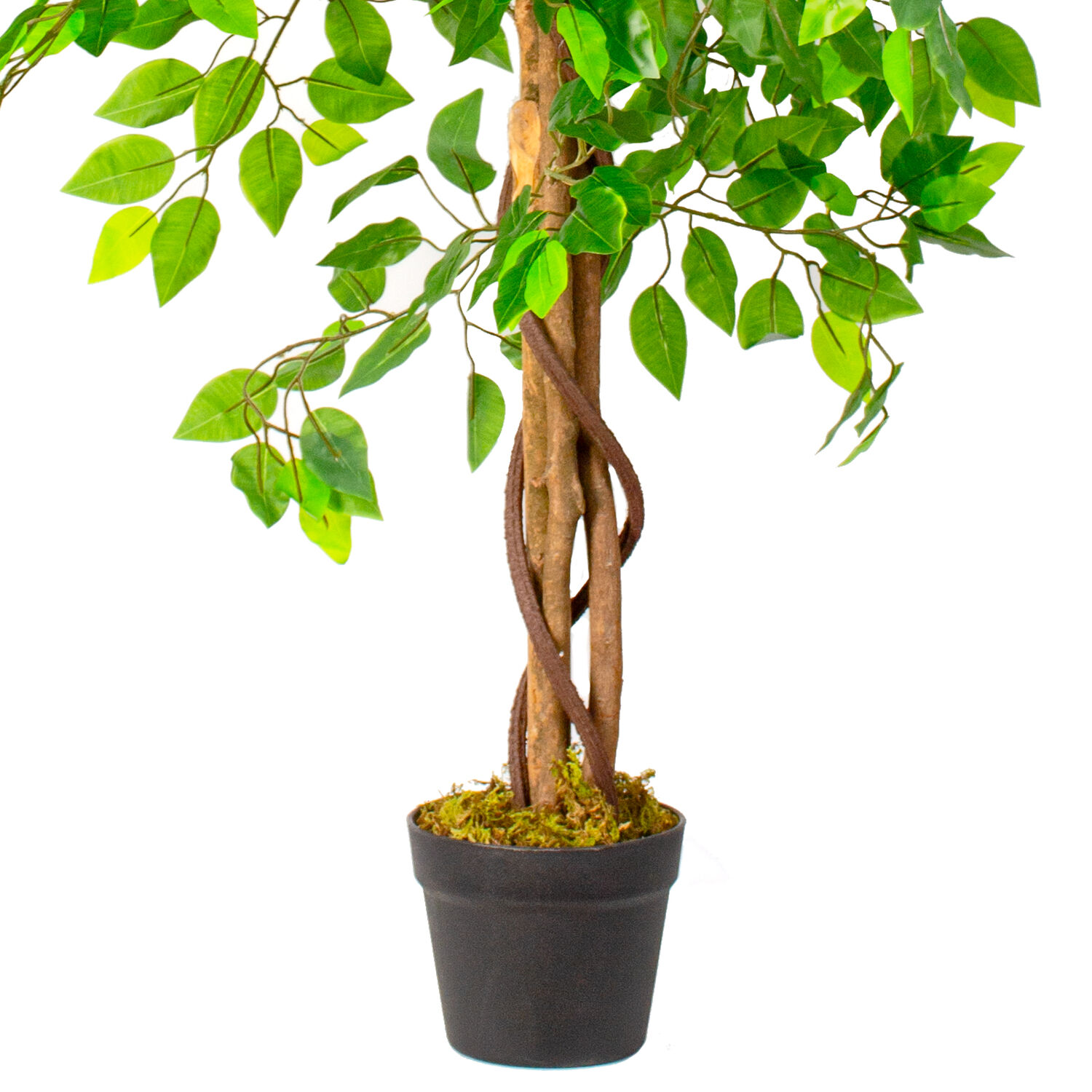 Planta Artificial Ficus Premium 120 Cm. 630 Hjs / Arbusto Real image number 2.0