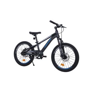 Bicicleta Totem Mtb Aro 20 Modelo Volt Negro