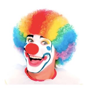 Peluca De Payaso Multicolor