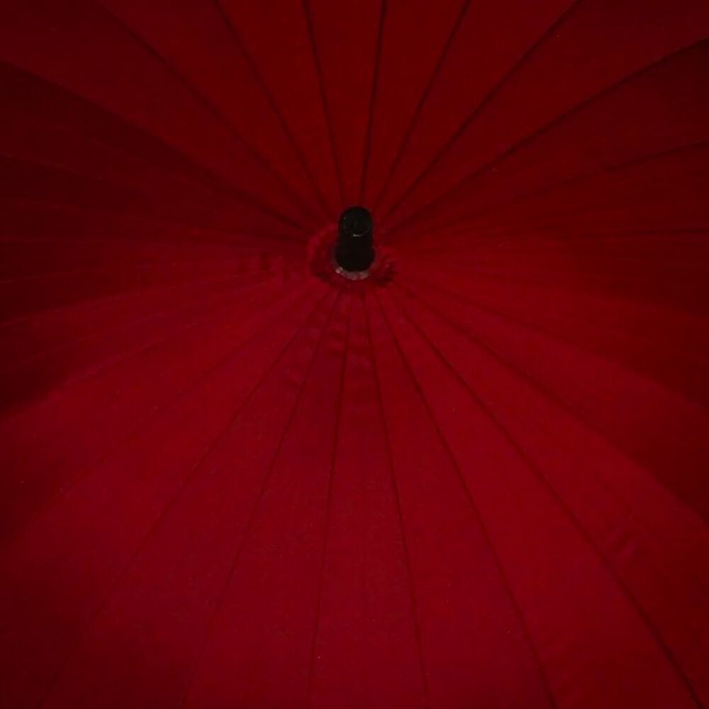 Paraguas 24 Varillas Lluvia image number 1.0