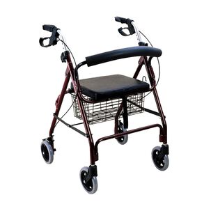 Andador 4 Ruedas Canasto Y Asiento