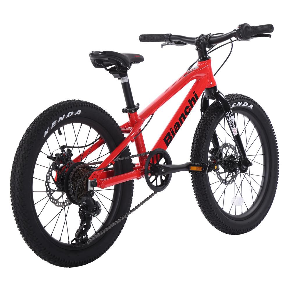 Bicicleta Infantil Bianchi Bianchi Alloy 20 / Aro 20 image number 2.0