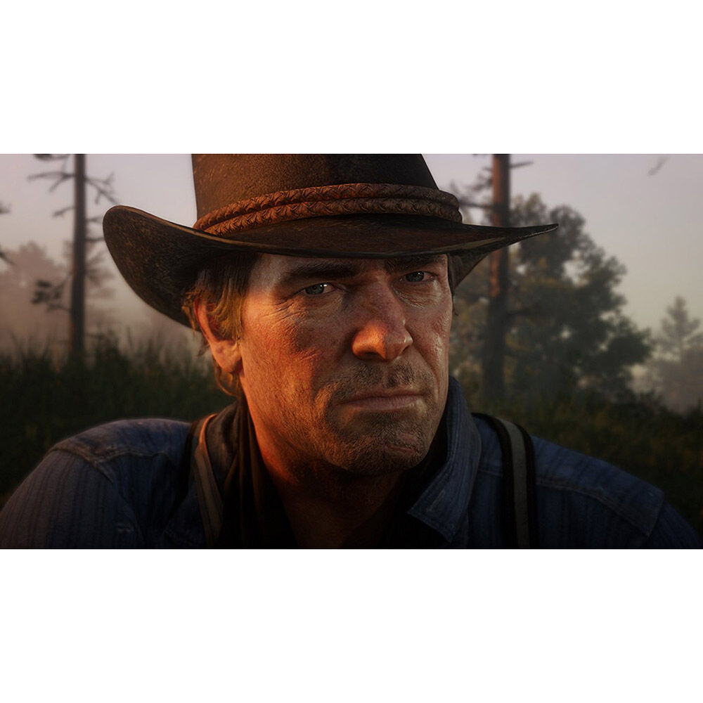 Juego PS4 Red Dead Redemption Ii image number 1.0