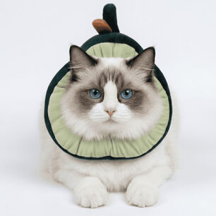 Collar Isabelino Forma De Palta Hey!