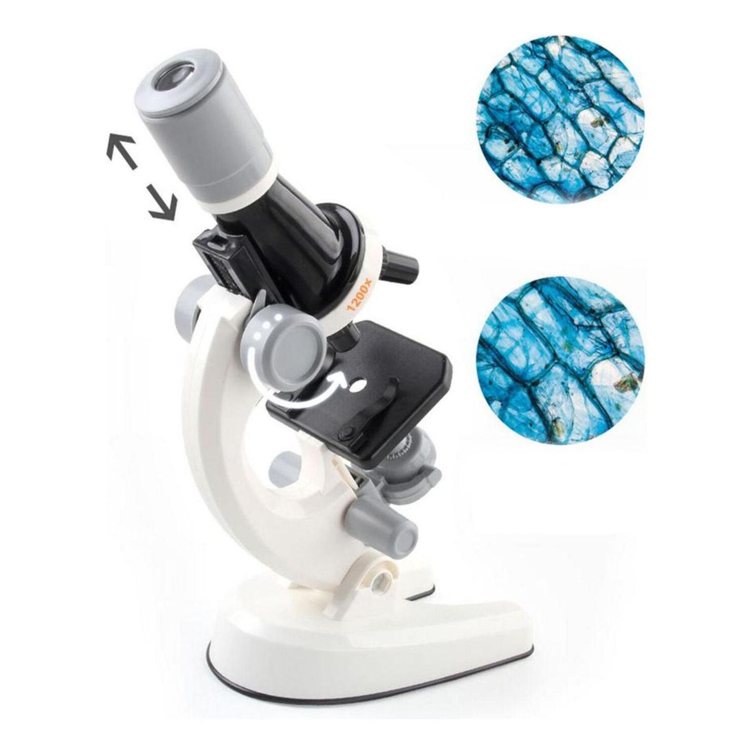 Microscopio Educativo Juguete Ni&ntilde;os Kit Accesorios image number 4.0