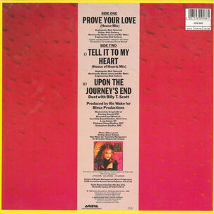 Taylor Dayne - Prove Your Love (house Mix) | 12" Maxi Single Usado
