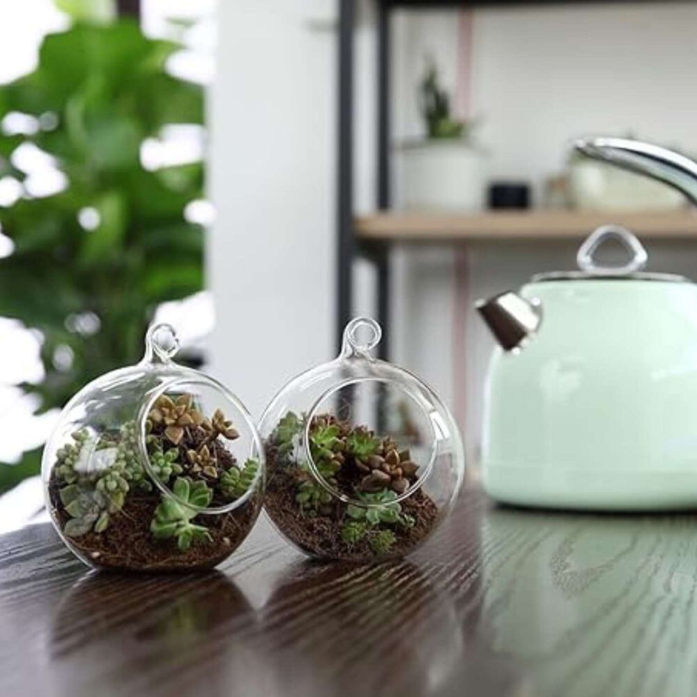 Terrario Redondo Colgante De Vidrio image number 4.0