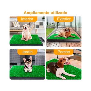 Ba&ntilde;o Ecol&oacute;gico Para Perro C&eacute;sped Sint&eacute;tico Con Bandeja Talla M