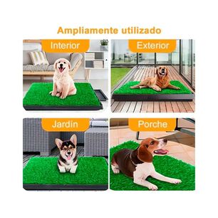 Ba&ntilde;o Ecol&oacute;gico Para Perro C&eacute;sped Sint&eacute;tico Con Bandeja Talla M