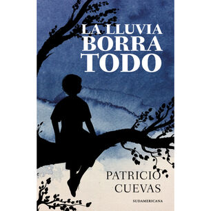 La Lluvia Borro Todo