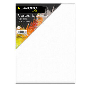 Carton Entelado 20x25 Cm Lavoro