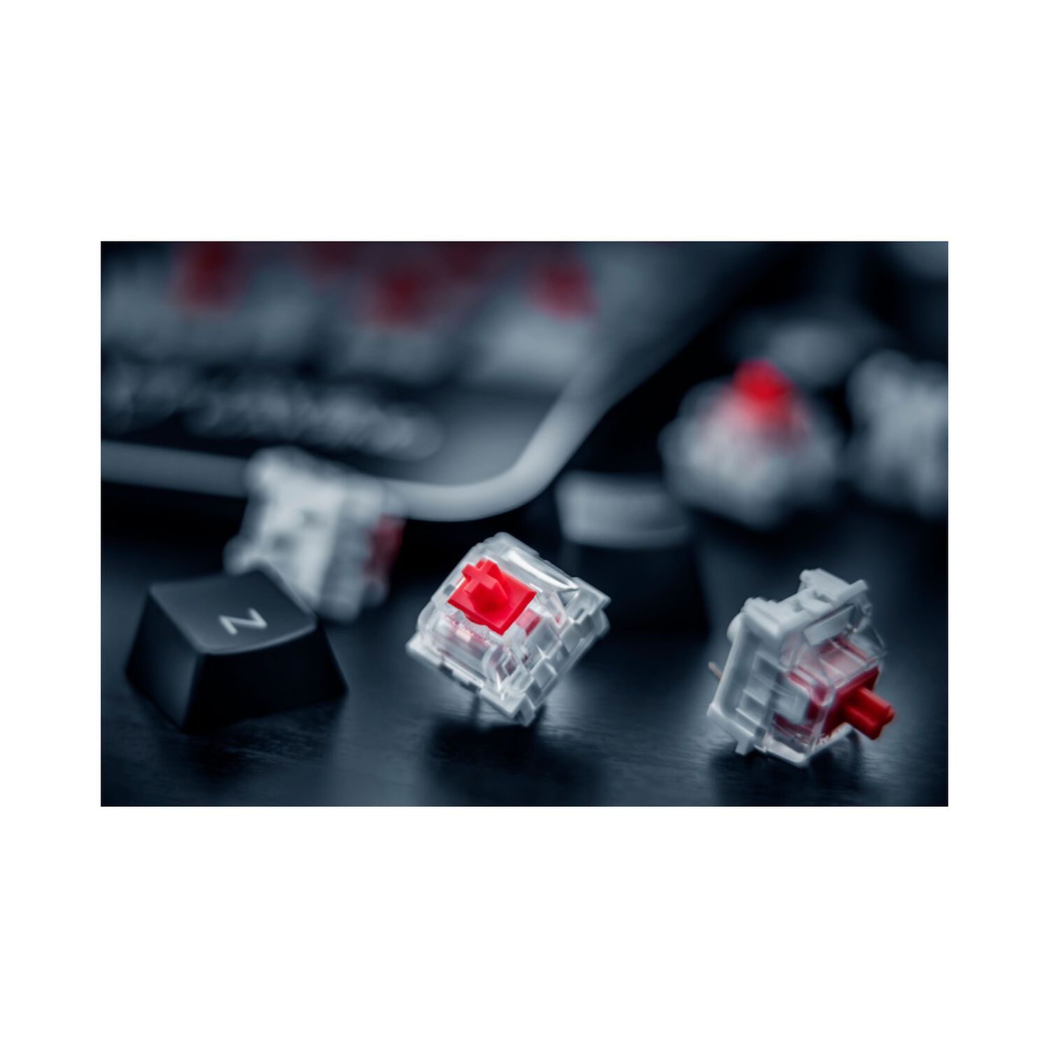 Teclado Mec&aacute;nico Trust Asta Gxt 865 Profesional Gamer image number 4.0