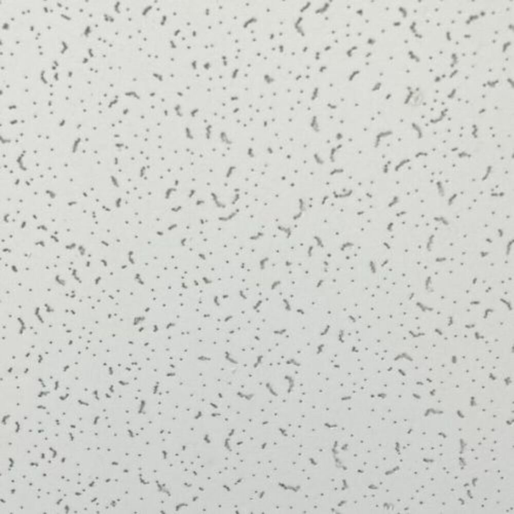 Cielo Americano Concorde 603x603x12mm image number 2.0