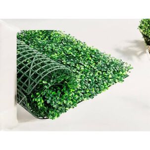 Pasto Para Decorasion