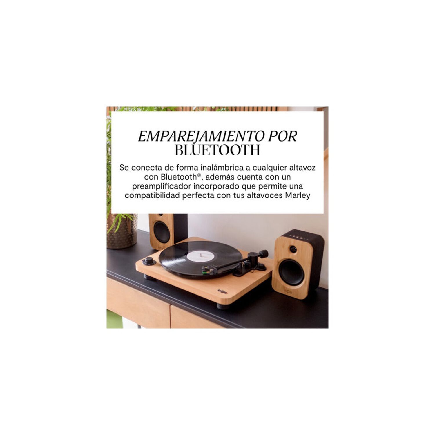 Tornamesa Bluetooth Stir It Up Wireless Lux House Of Marley image number 4.0