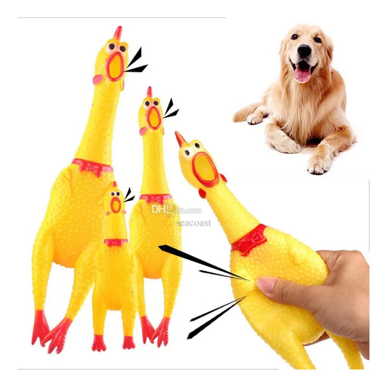 Juguete Para Morder Pollo Que Grita Para Mascotas image number 2.0