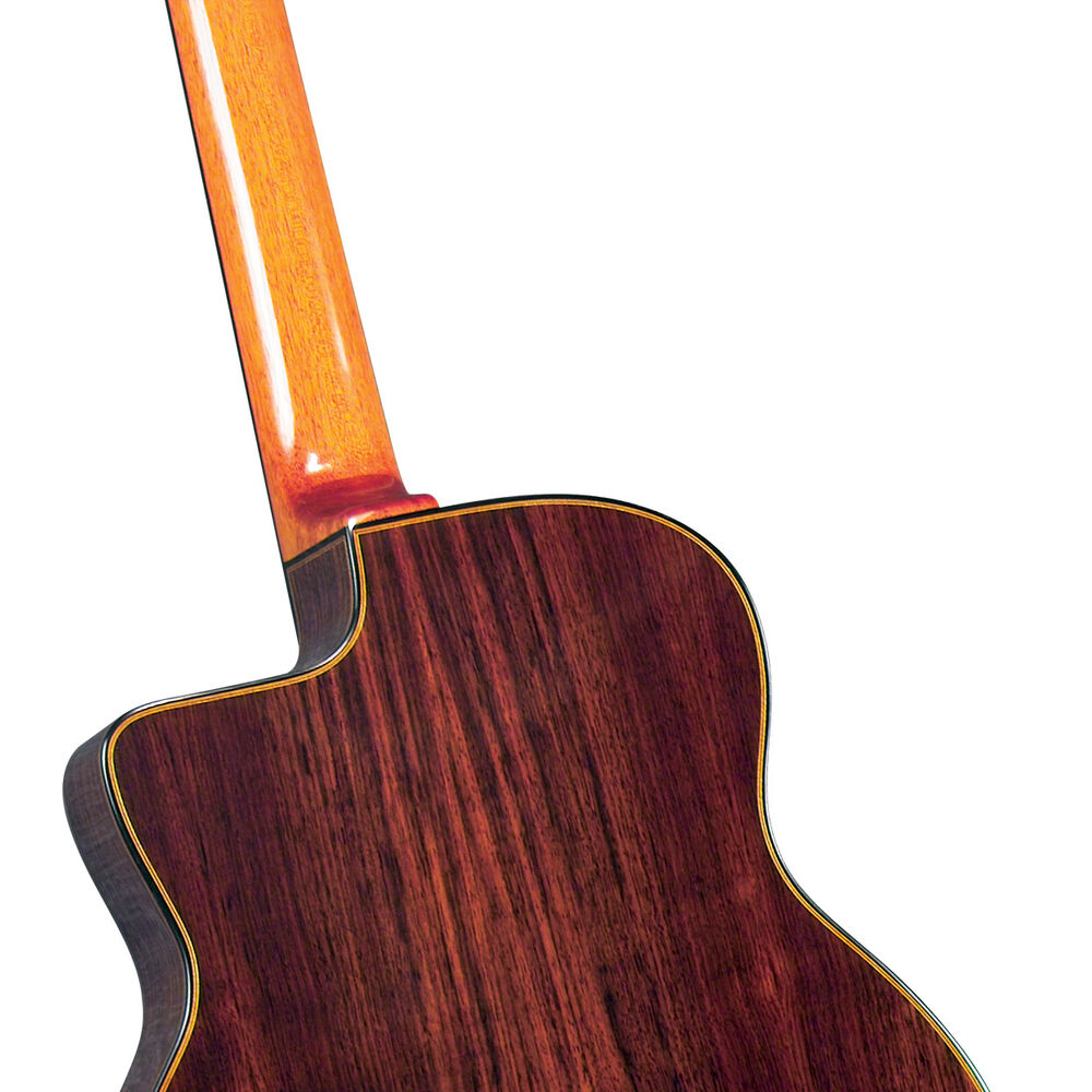 Guitarra Gypsy Jazz Profesional Gitane D-500 image number 5.0