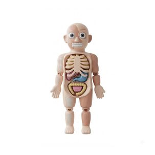 Modelo Anatomico Cuerpo Humano Didactico Organos 21 Pzs