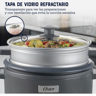 Arrocera Oster CKSTRC10DFSKE-052 / 1.8 Litros