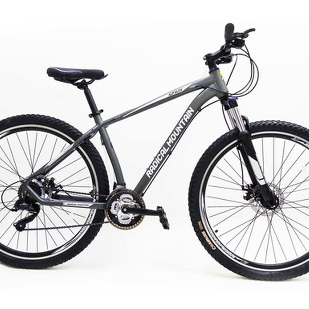 Bicicleta Radical Mountain 29 Disc Gris 2021 image number 0.0