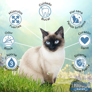 Alimento Para Gato Adulto Trigono 10kg