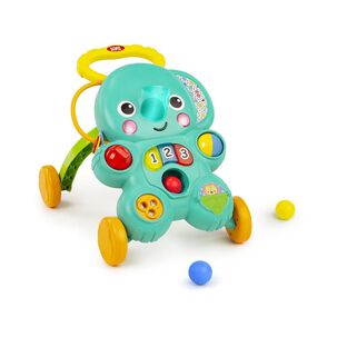 Caminador Stroll N Roll 2-in-1 Ball Play Bright Starts