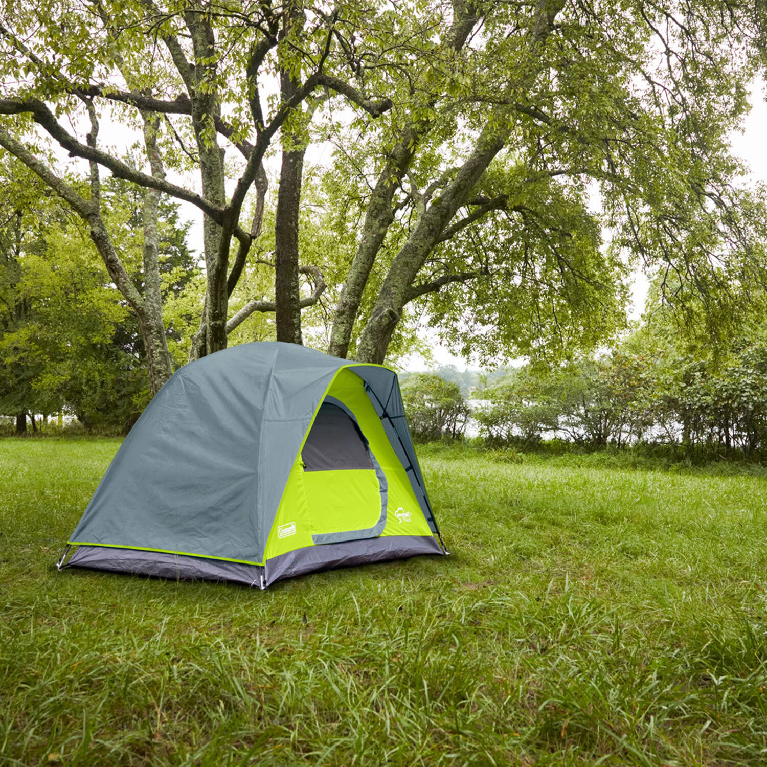 Carpa Domo Coleman Amazonia Para 2 Personas Gris image number 2.0