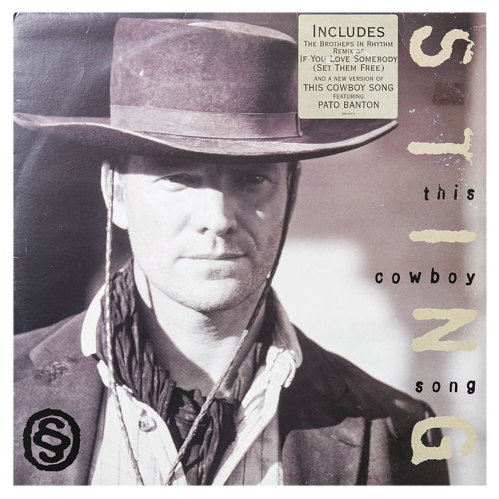 Sting - If You Love Somebody (set Them Free) | 12" Maxi Single Usado image number 0.0