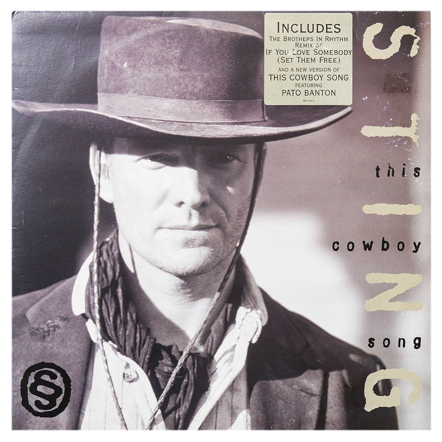 Sting - If You Love Somebody (set Them Free) | 12" Maxi Single Usado image number 0.0