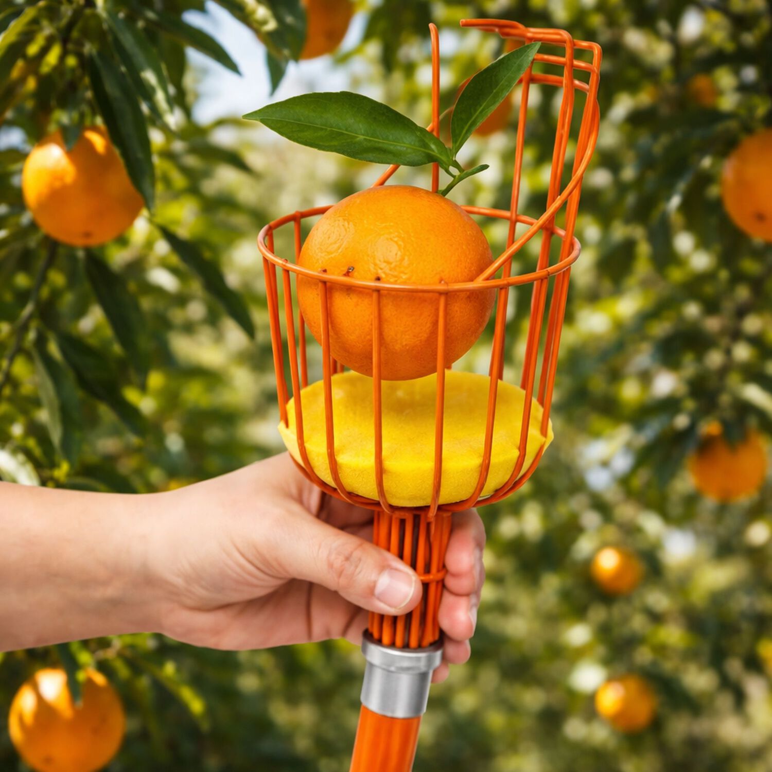 Recolector De Frutas Truper Con Cojin Frut image number 3.0