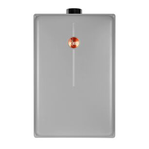 Calefont 28 Litros Gas Natural Tiro Forzado Rheem