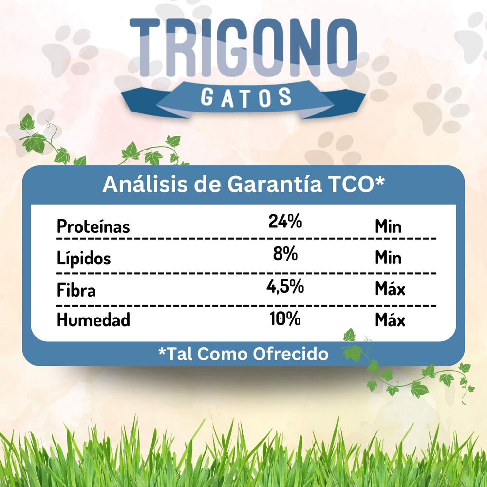 Alimento Para Gato Adulto Trigono 10kg image number 2.0
