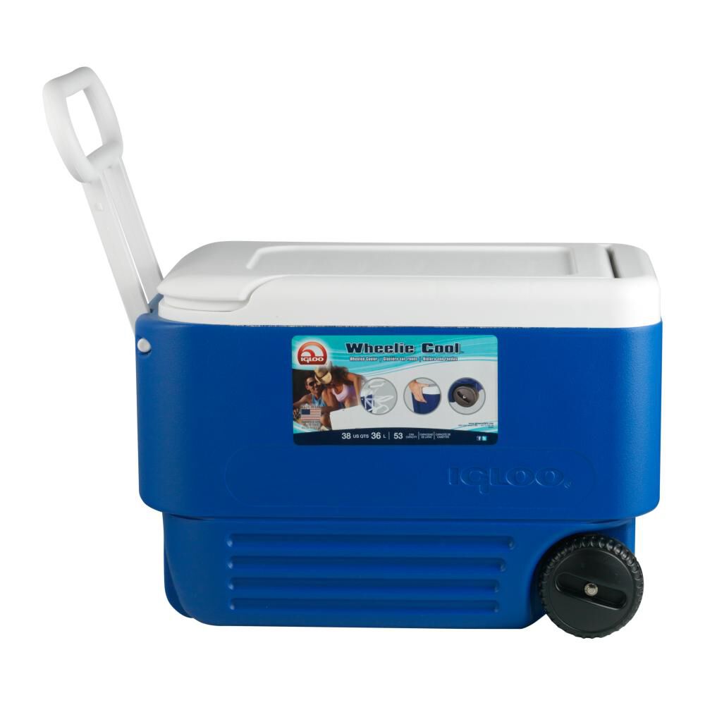 Cooler Igloo Ig45004 / 36 Litros image number 0.0
