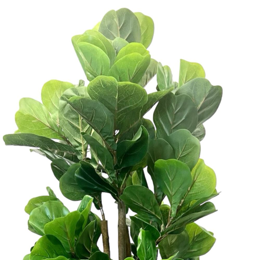 Planta Artificial Ficus Premium Lyrata 120 Cm. / 134 Hojas image number 2.0