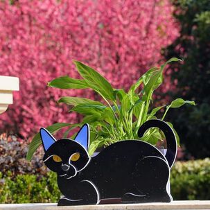 Macetero Gato Negro