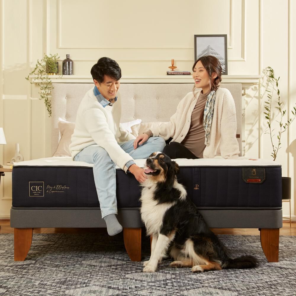 Cama Europea Cic Premium / King / Base Dividida + Set De Maderas image number 6.0