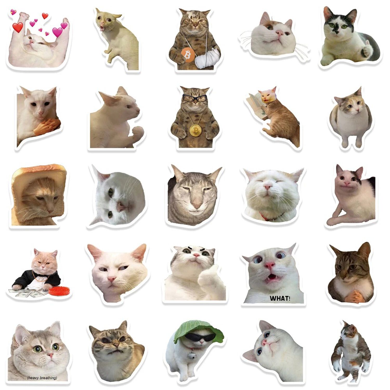 Pack 50 Sticker Gatitos Memes Gatos Nekos image number 4.0