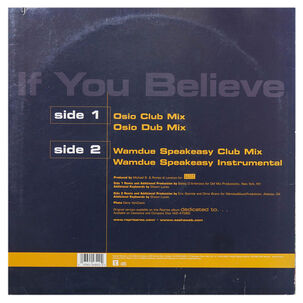 Sasha - If You Believe | 12" Maxi Single Usado