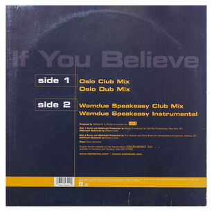Sasha - If You Believe | 12" Maxi Single Usado