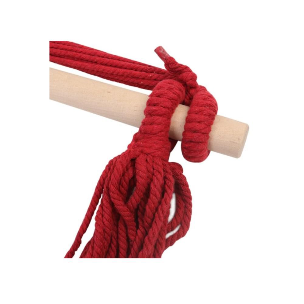 Silla Hamaca Colgante Con Cuerda + 2 Cojines Columpio Jard&iacute;n image number 13.0