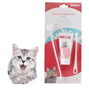 Pasta De Dientes Para Gatos Sabor A Queso 50g Bioline